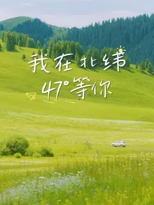 北纬47度的浪漫邂逅：《我在北纬47°等你》情感之旅