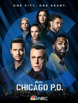 《芝加哥警署 第九季》：正义之战再度打响！芝加哥街头的罪恶永不眠