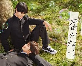 《无法传达给你》：少年心事，青春悸动，一场关于理解与成长的暖心物语！