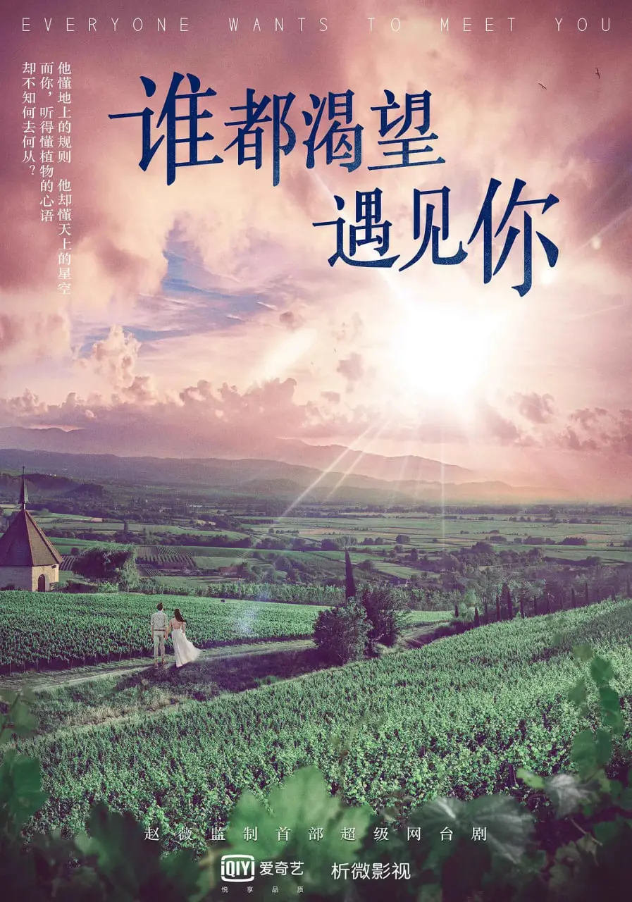 《谁都渴望遇见你》：探索傅少的青春迷茫与真爱碰撞，这部电影如何点亮你的生活与情感旅程？