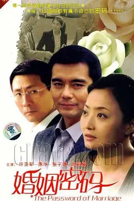 《婚姻密码》深度解析：破解情感迷局，婚姻真相究竟是什么？